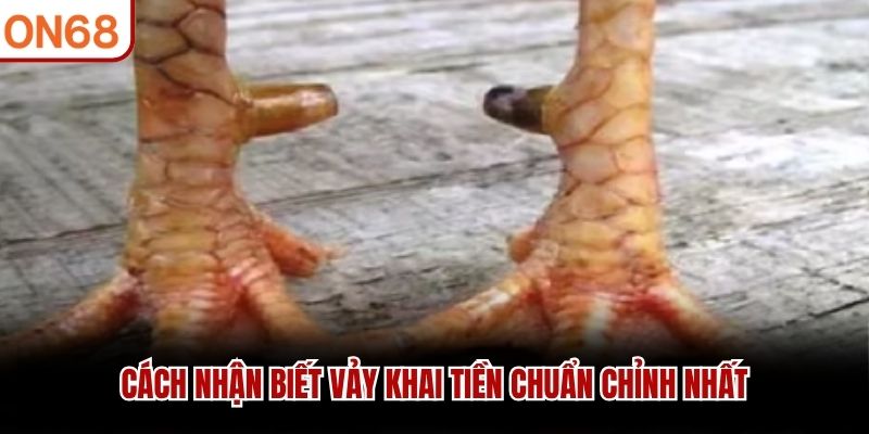C&aacute;ch nhận biết vảy Khai Tiền chuẩn chỉnh nhất